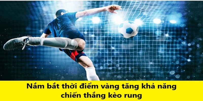 Nắm bắt thời điểm vàng là mẹo cực hay trong cá cược